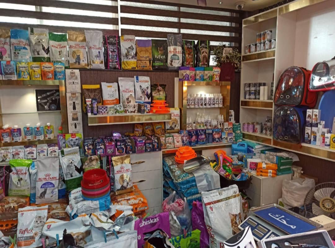 پت شاپ گارفیلد در تبریز